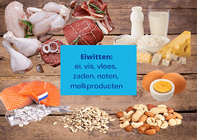 eiwitten_1.png