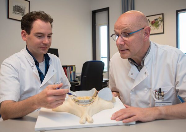 koekkoek_taphoorn uitleg doktoren brein