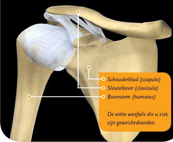schouderluxatie bron zorgvoorbeweging nl